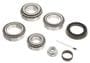 Power Torque Differential Bearing Kit
