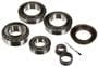 Power Torque Differential Bearing And Oil Seal Kit