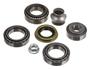 Power Torque Differential Bearing Kit