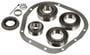 Power Torque Differential Bearing And Oil Seal Kit