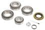 Power Torque Differential Bearing And Oil Seal Kit