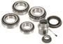 Power Torque Differential Bearing Kit