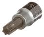 Power Torque 3/8 Inch Drive T50 Star Socket