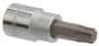 Power Torque 3/8 Inch Drive T47 Star Socket