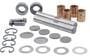 Rare Parts King Pin Set