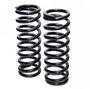 Rare Parts Coil Spring