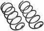 Rare Parts Diamond Series Coil Springs
