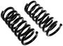 Rare Parts Diamond Series Coil Springs