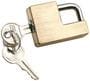 Reese Towpower 1/4 Inch Diameter Trailer Coupler Lock