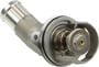Rein Automotive Thermostat/Housing Assembly