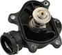 Rein Automotive Thermostat/Housing Assembly