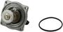 Rein Automotive Thermostat/Housing Assembly