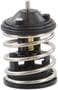 Rein Automotive Thermostat Insert