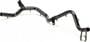 Rein Automotive Coolant Hose