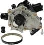 Rein Automotive Water Pump