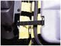 Rampage Door Check Strap