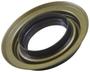 Yukon Differential Pinion Seal