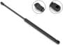 Stabilus Extended Length: 15-5/8 Inch Compressed Length: 9-5/8 Inch Lift Support
