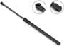 Stabilus Extended Length: 20-15/16 Inch Compressed Length: 13-3/8 Inch Lift Support