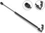 Stabilus Extended Length: 19 Inch Compressed Length: 12-9/16 Inch Lift Support