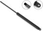 Stabilus Extended Length: 7-15/16 Inch Compressed Length: 5-3/16 Inch Lift Support