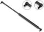 Stabilus Extended Length: 17 Inch Compressed Length: 11-5/16 Inch Lift Support