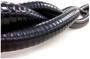 Sierra Marine Livewell Hose