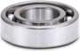 Sierra Marine Ball Bearing