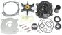 Sierra Marine Impeller Kit