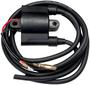 Sierra Marine Ignition Coil