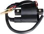 Sierra Marine Ignition Coil