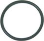 Sierra Marine O-Ring