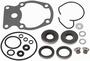 Sierra Marine Lower Unit Seal Kit