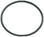 Sierra Marine O-Ring