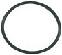 Sierra Marine O-Ring