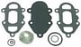 Sierra Marine Fuel Pump Kit