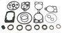 Sierra Marine Lower Unit Seal Kit
