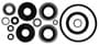Sierra Marine Lower Unit Seal Kit
