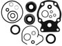 Sierra Marine Lower Unit Seal Kit