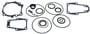 Sierra Marine Lower Unit Seal Kit