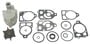 Sierra Marine Water Pump Kit