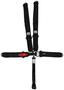 Simpson Race Products Seat Belt Harness