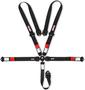 Simpson Race Products Camlock Harness