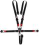 Simpson Race Products Camlock Harness