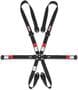 Simpson Race Products Camlock Harness