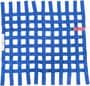 Simpson Race Products Window Net