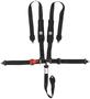 Simpson Race Products Latch And Link Harness