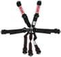 Simpson Race Products Safety Harness