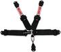 Simpson Race Products Safety Harness