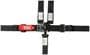 Simpson Race Products Latch And Link Harness